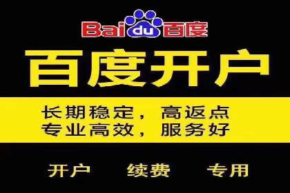 百度竞价包年推广：成功案例解析与效果评估